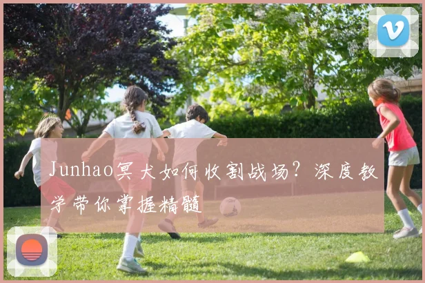 Junhao冥犬如何收割战场？深度教学带你掌握精髓