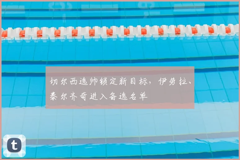 切尔西选帅锁定新目标，伊劳拉、泰尔齐奇进入备选名单