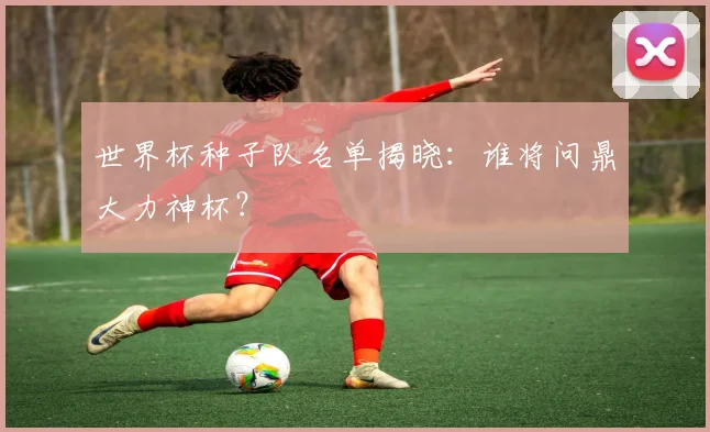 世界杯种子队名单揭晓:谁将问鼎大力神杯?